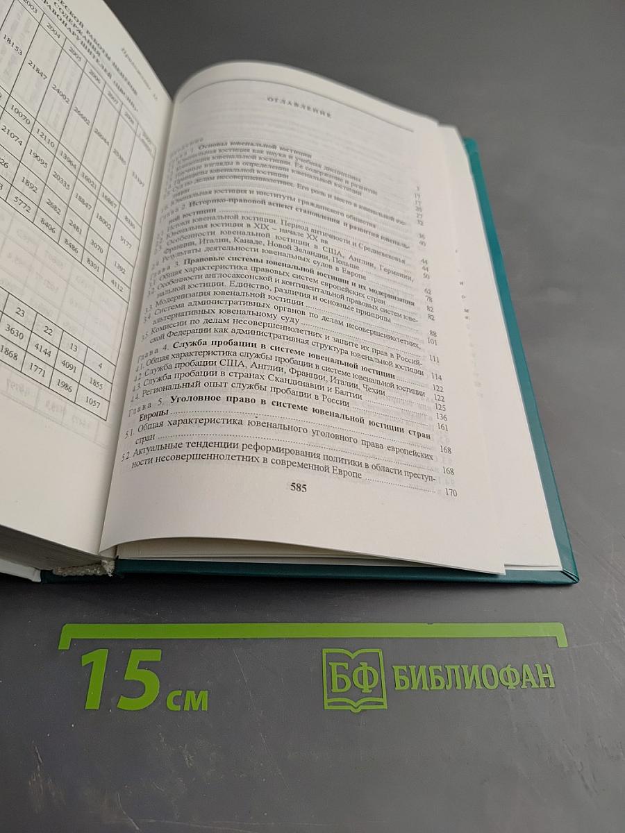 Основы ювенальной юстиции