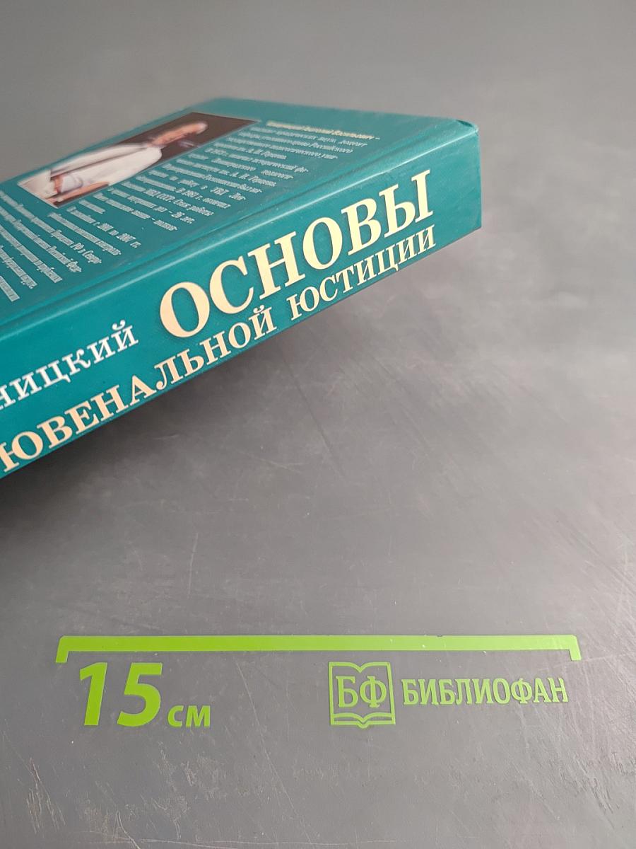 Основы ювенальной юстиции