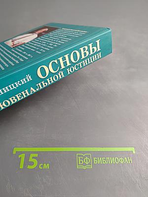 Основы ювенальной юстиции