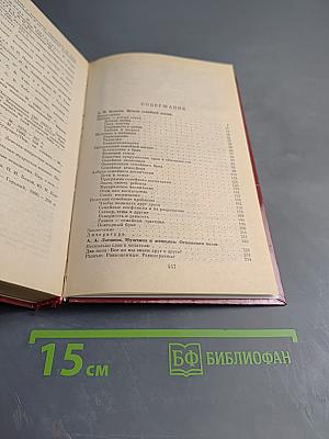 Начала семейной жизни. Мужчина и женщина: Отношения полов
