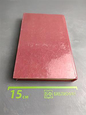 Начала семейной жизни. Мужчина и женщина: Отношения полов