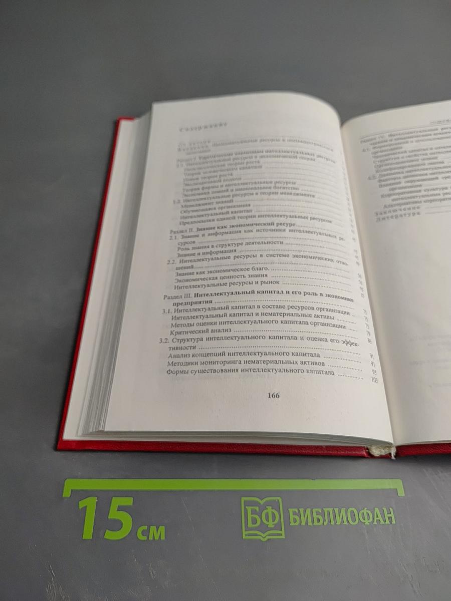 Интеллектуальные ресурсы организации