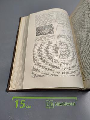 Большая медицинская энциклопедия. Том 36 Дополнительный