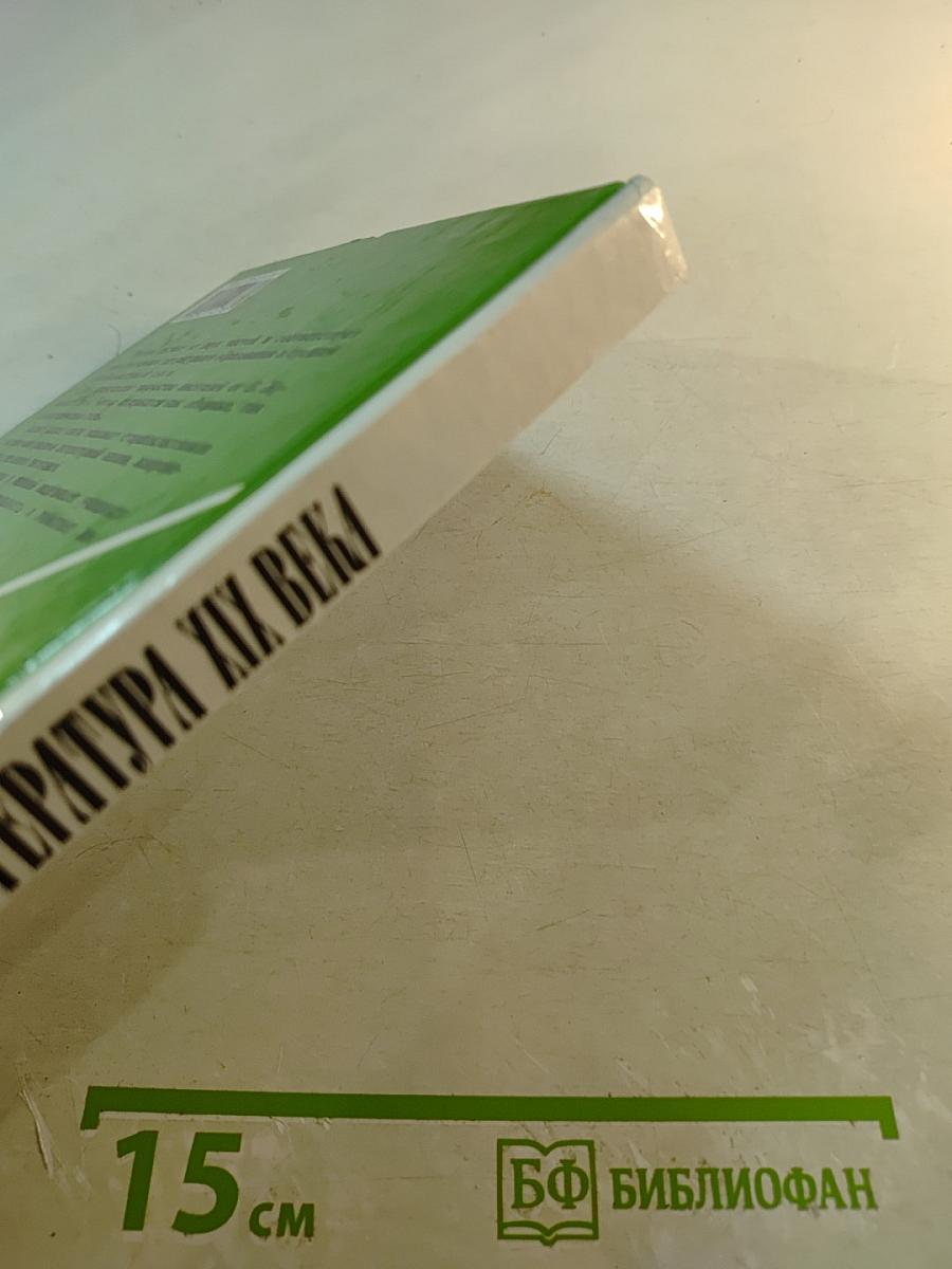 Русская литература XIX века, 10 класс, Часть 2