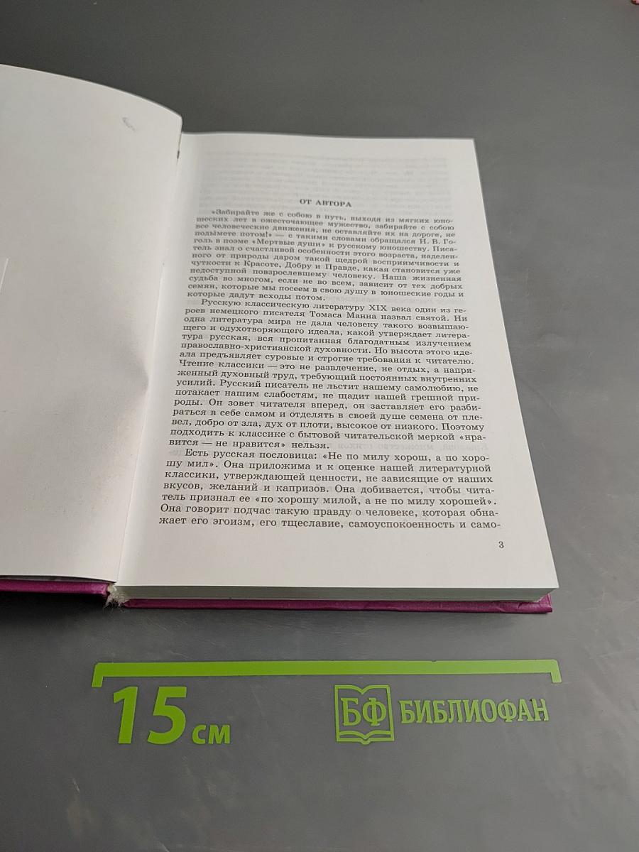 Литература. Русская литература XIX века, 10 класс, Часть первая