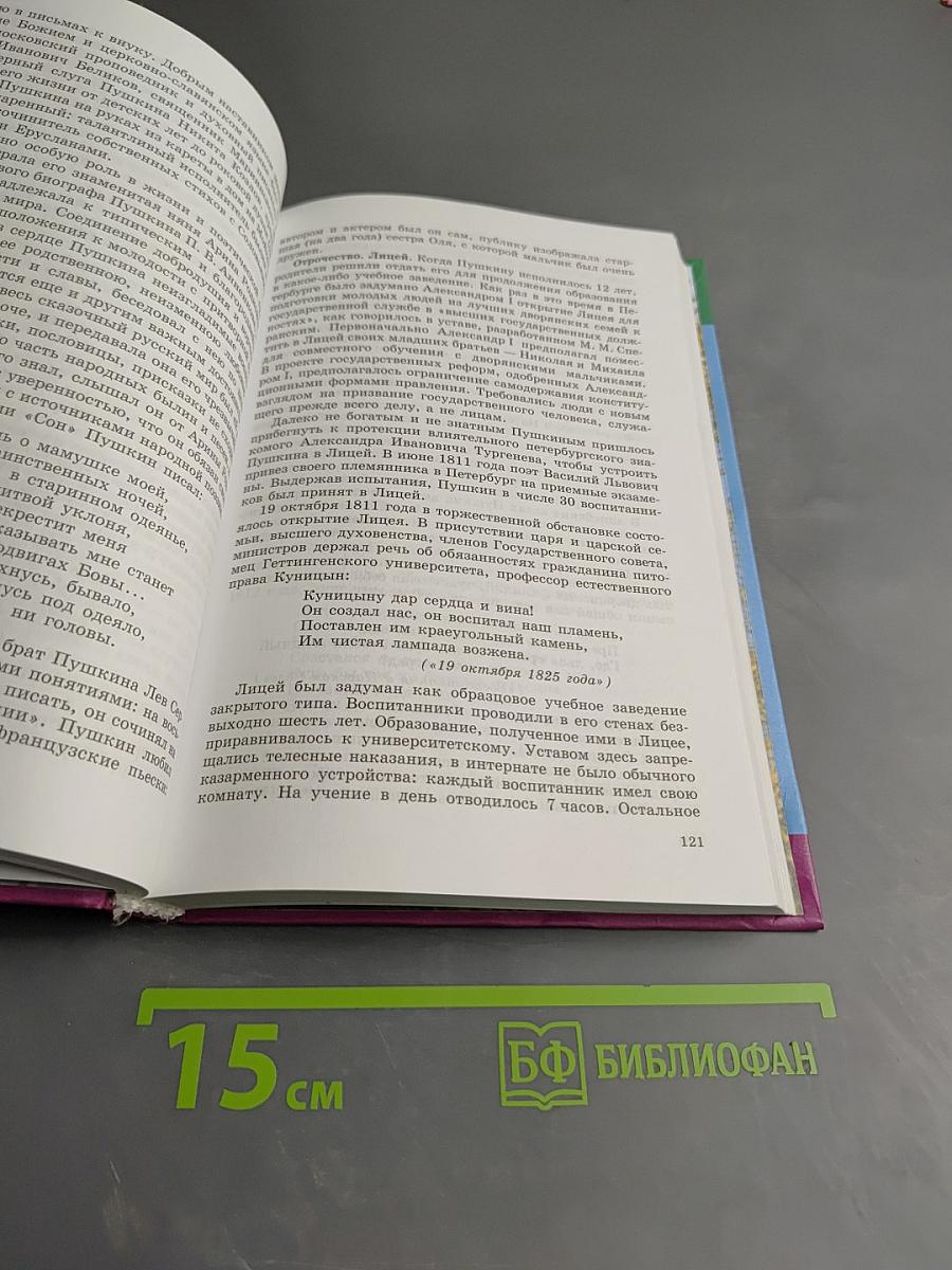 Литература. Русская литература XIX века, 10 класс, Часть первая