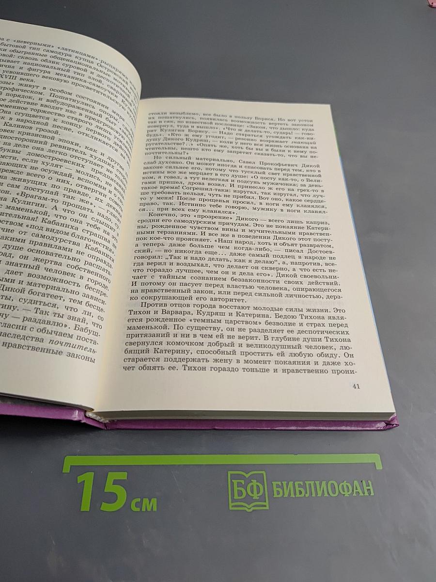 Русская литература XIX века. Часть вторая, 10 класс