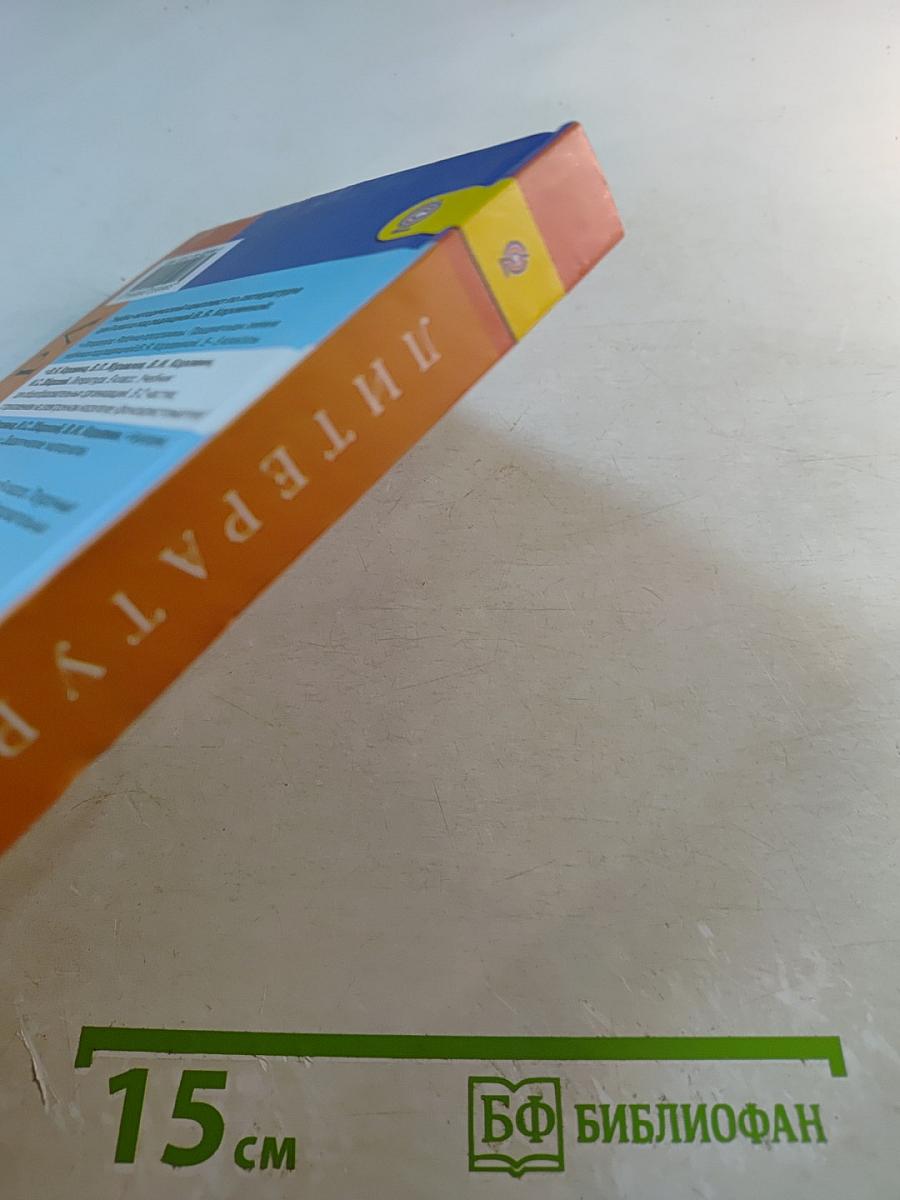 Литература. 9 класс. Часть 2