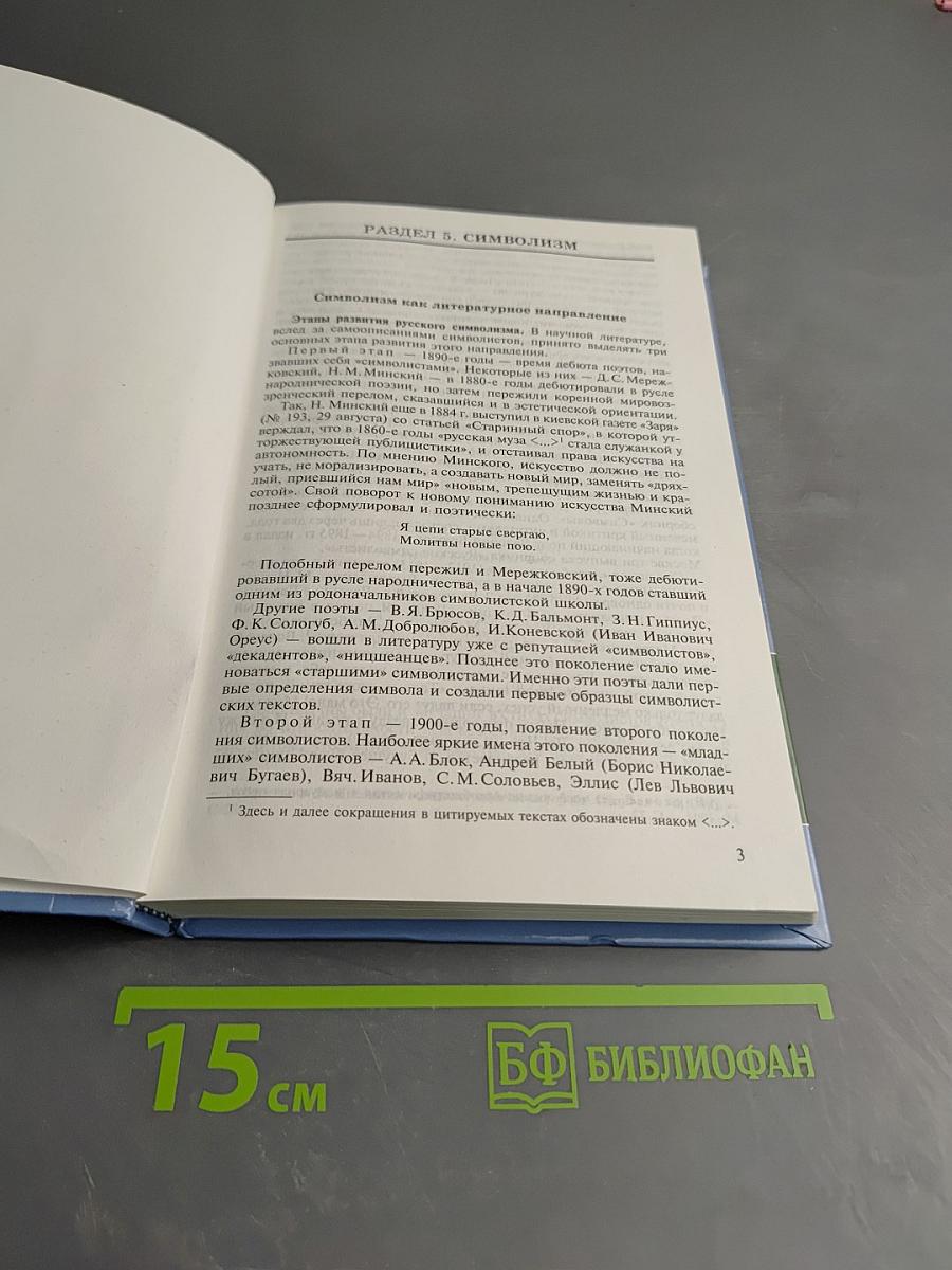 История русской литературы конца XIX – начала XX века. В двух томах. Том 2. Учебное пособие