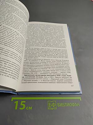 История русской литературы конца XIX – начала XX века. В двух томах. Том 2. Учебное пособие