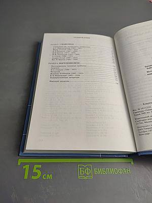 История русской литературы конца XIX – начала XX века. В двух томах. Том 2. Учебное пособие