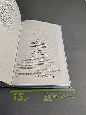 История русской литературы конца XIX – начала XX века. В двух томах. Том 2. Учебное пособие