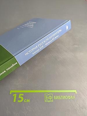 История русской литературы конца XIX – начала XX века. В двух томах. Том 2. Учебное пособие