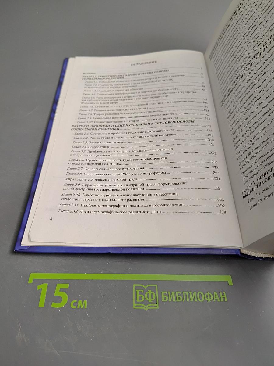 Социальная политика