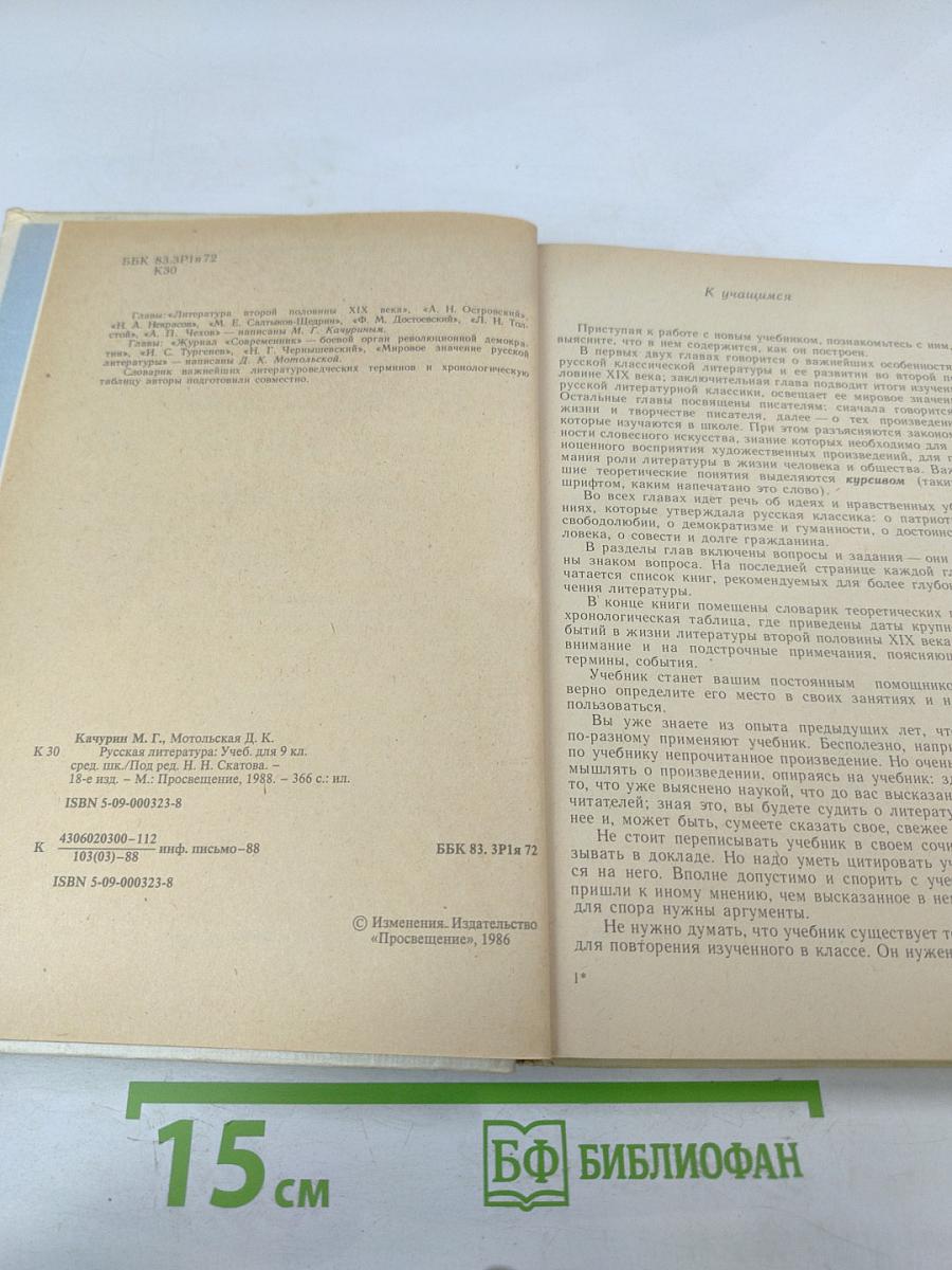 Русская литература. Учебник для 9 класса