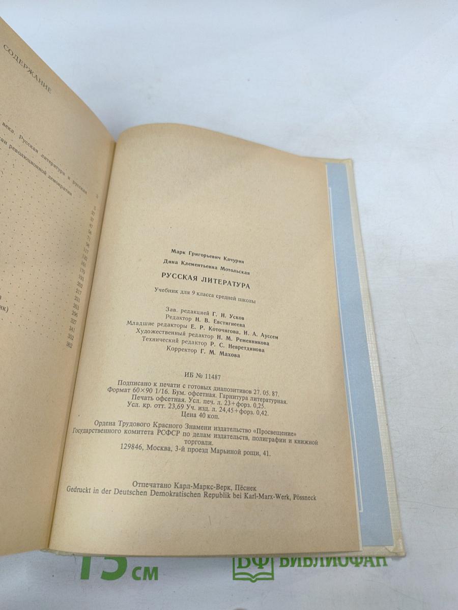 Русская литература. Учебник для 9 класса