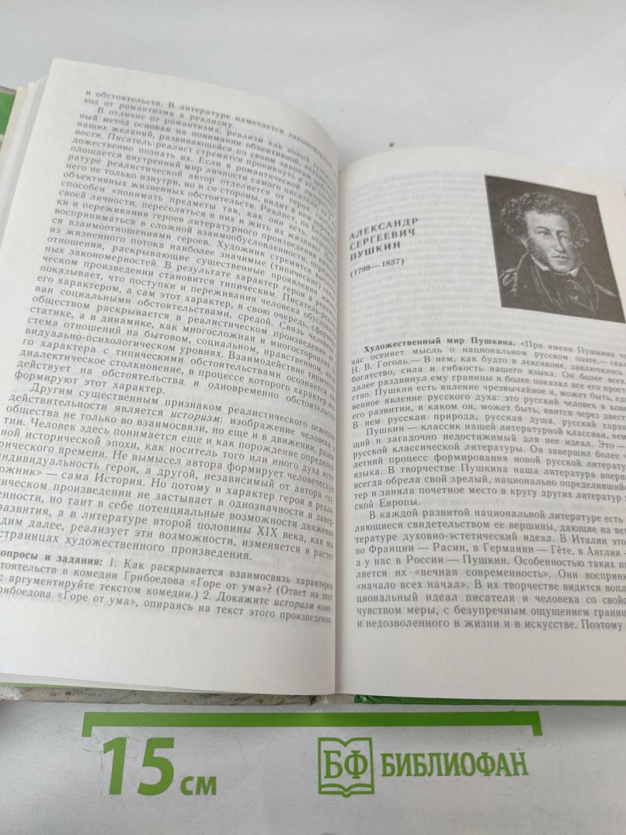 Русская литература XIX века. 10 класс. Часть 1