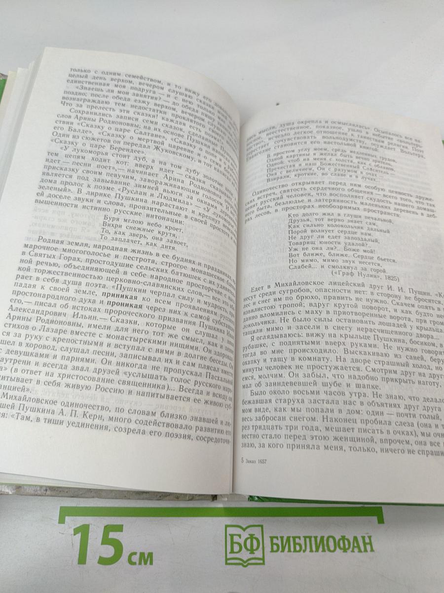 Русская литература XIX века. 10 класс. Часть 1