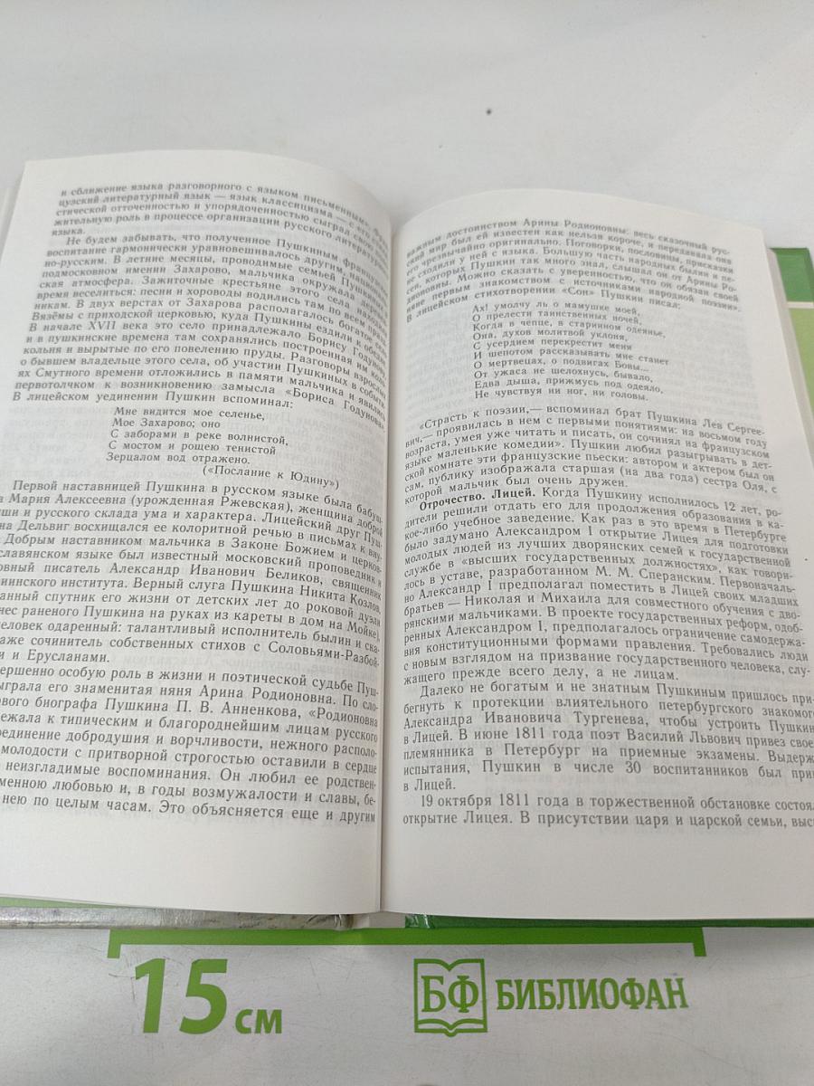 Русская литература XIX века. 10 класс. Часть 1