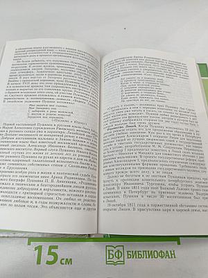 Русская литература XIX века. 10 класс. Часть 1