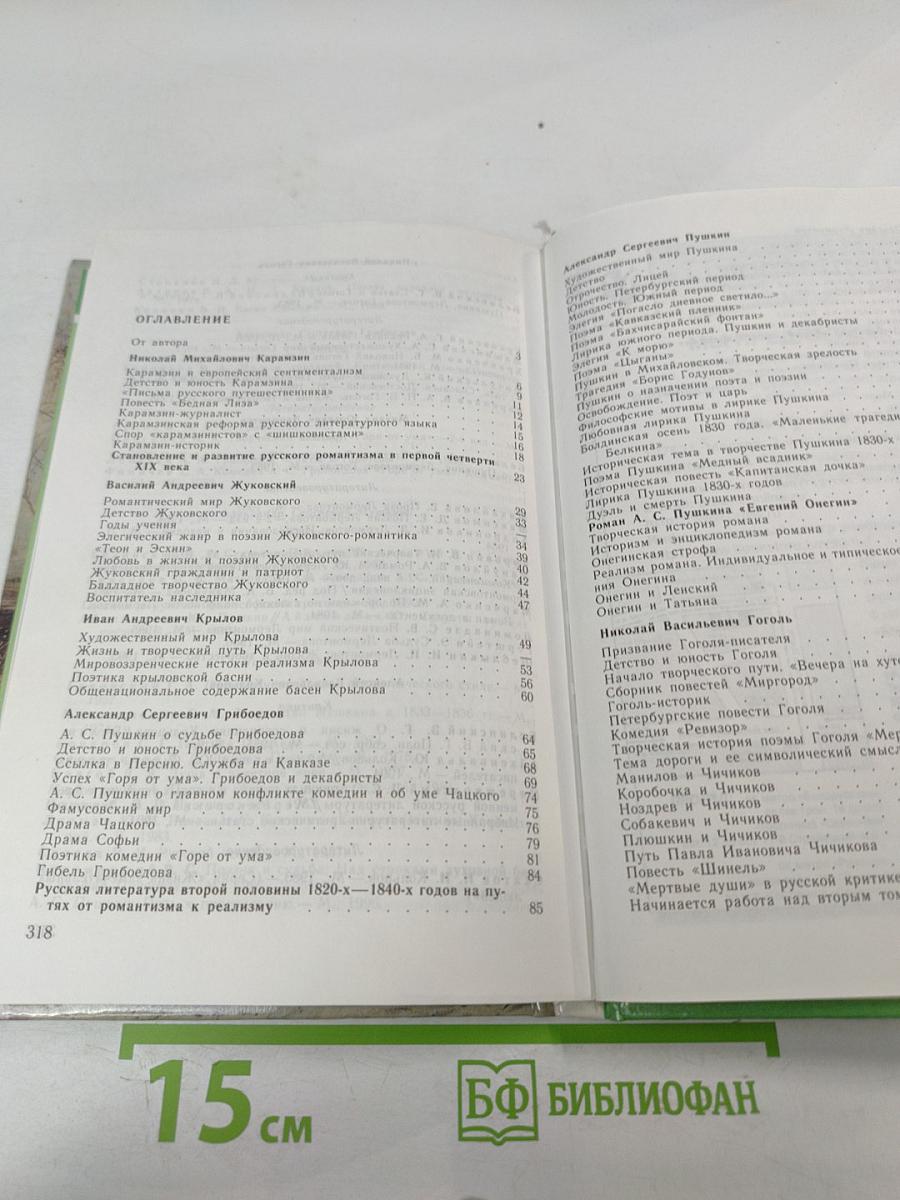 Русская литература XIX века. 10 класс. Часть 1