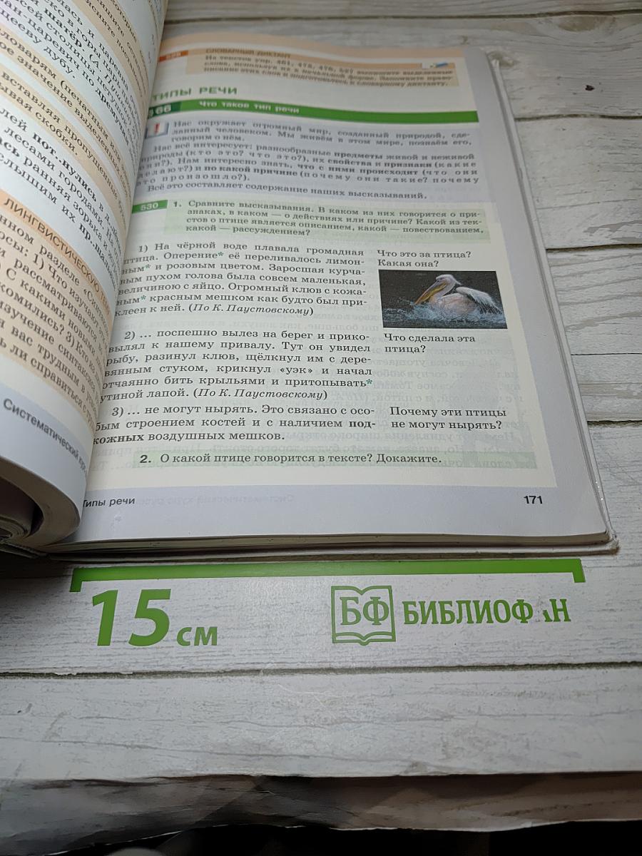 Русский язык 5 класс