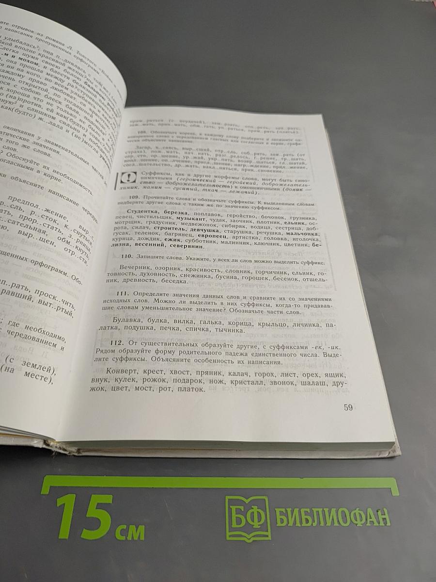 Русский язык. Грамматика. Текст. Стили речи. 10-11 класс