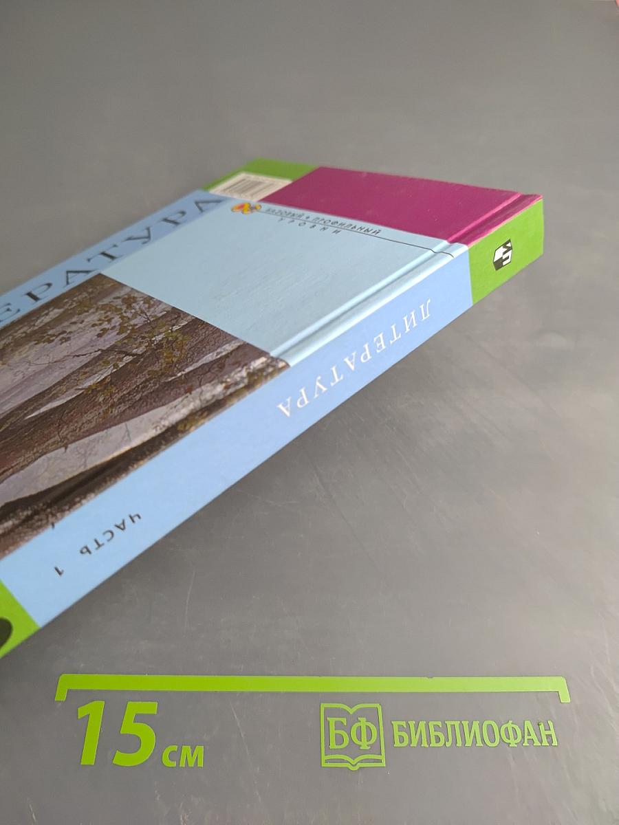 Литература 10 класс, Часть 1