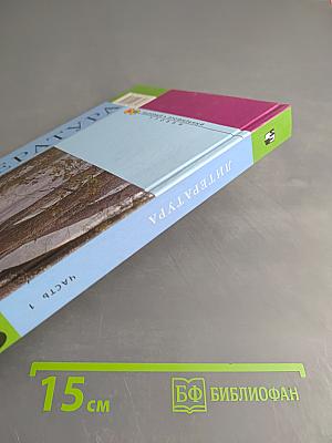 Литература 10 класс, Часть 1