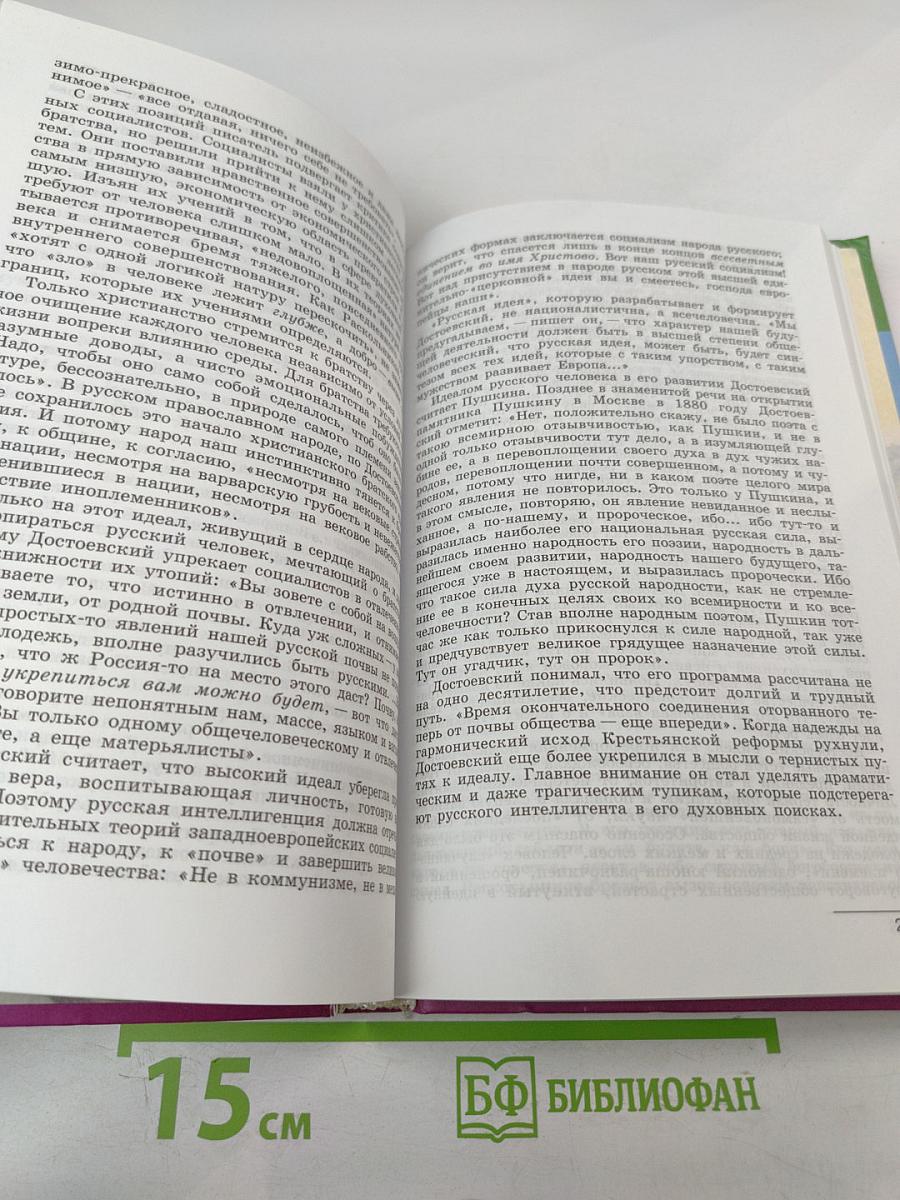 Литература 10 класс. Часть 2