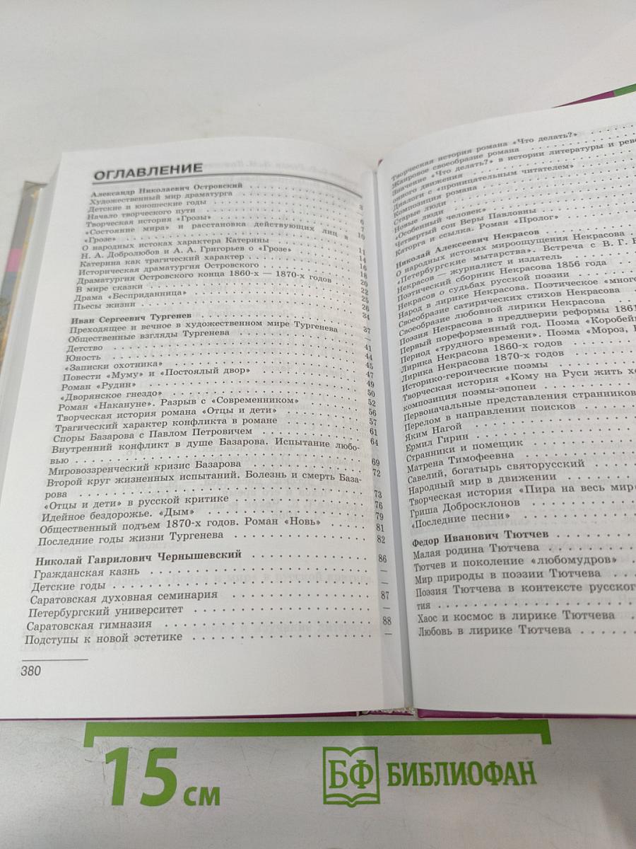 Литература 10 класс. Часть 2