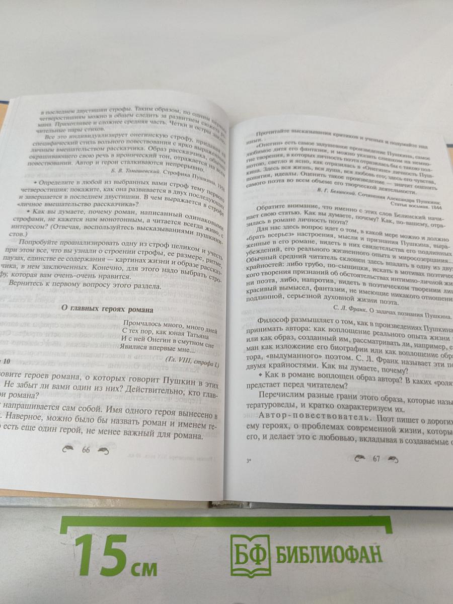 Русская литература XIX века. 10 класс. Учебник-практикум