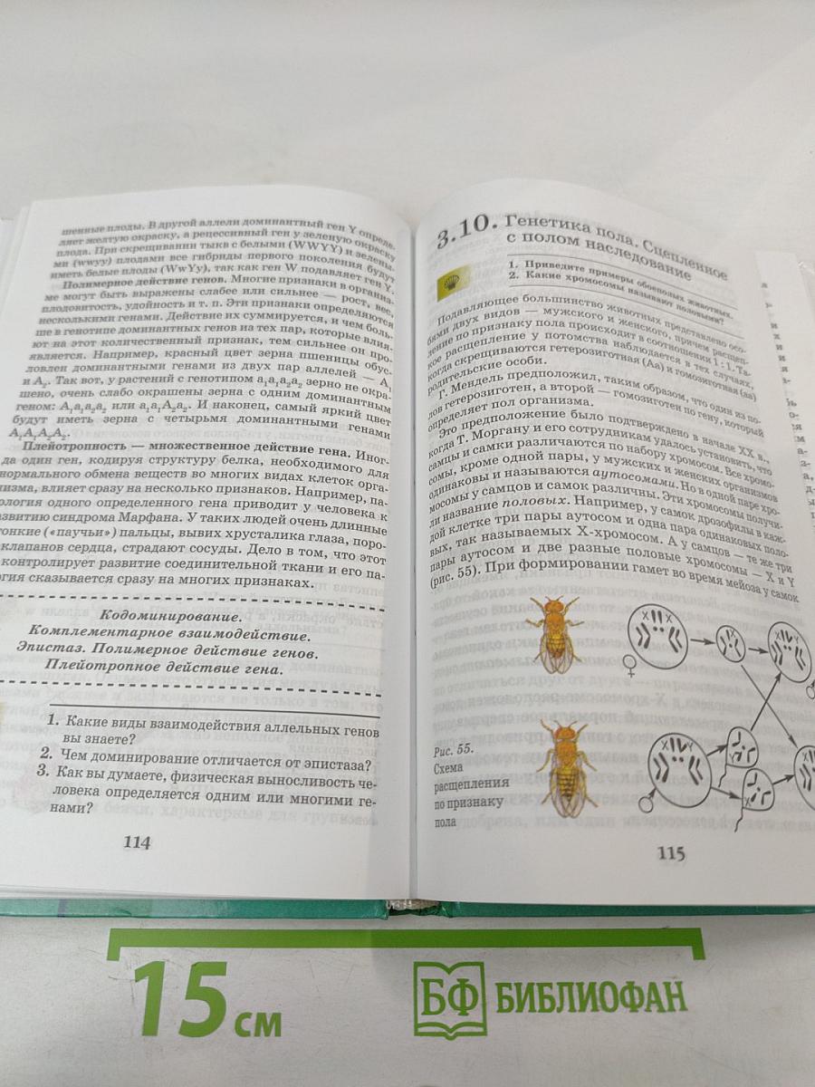 Биология. Введение в общую биологию и экологию 9 класс