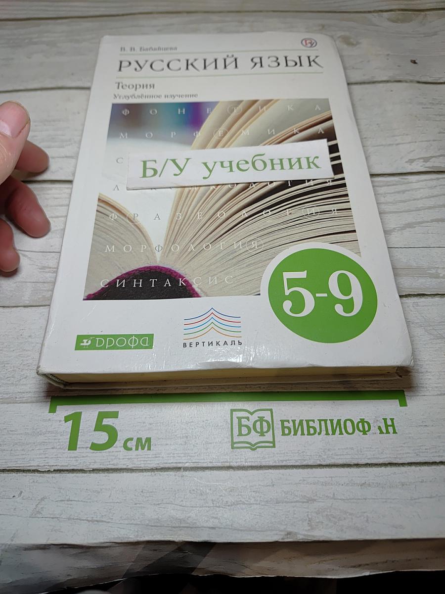 Русский язык. Теория. Углубленное изучение. 5-9 классы