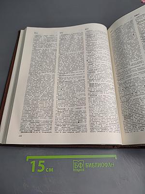 Французско-русский словарь активного типа