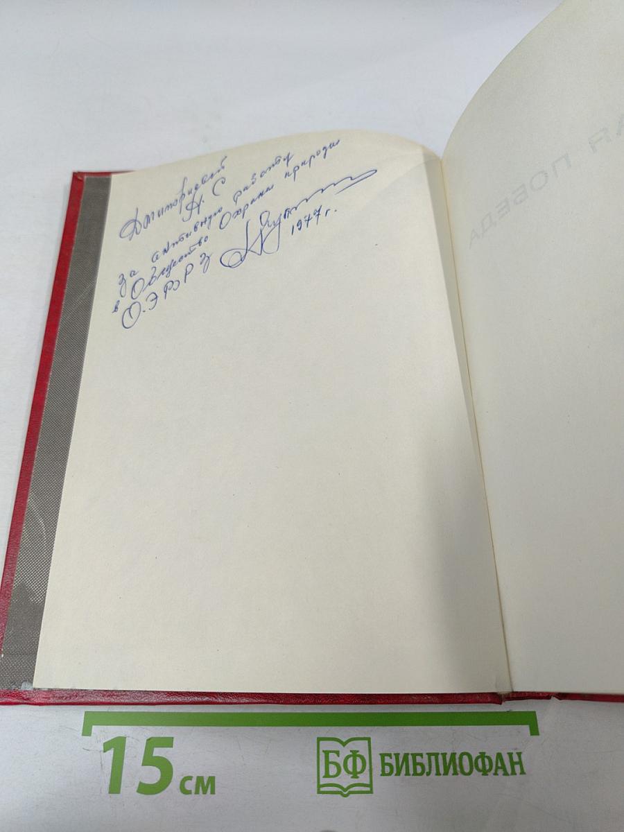 Славная победа под Ленинградом