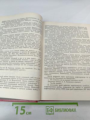 Славная победа под Ленинградом