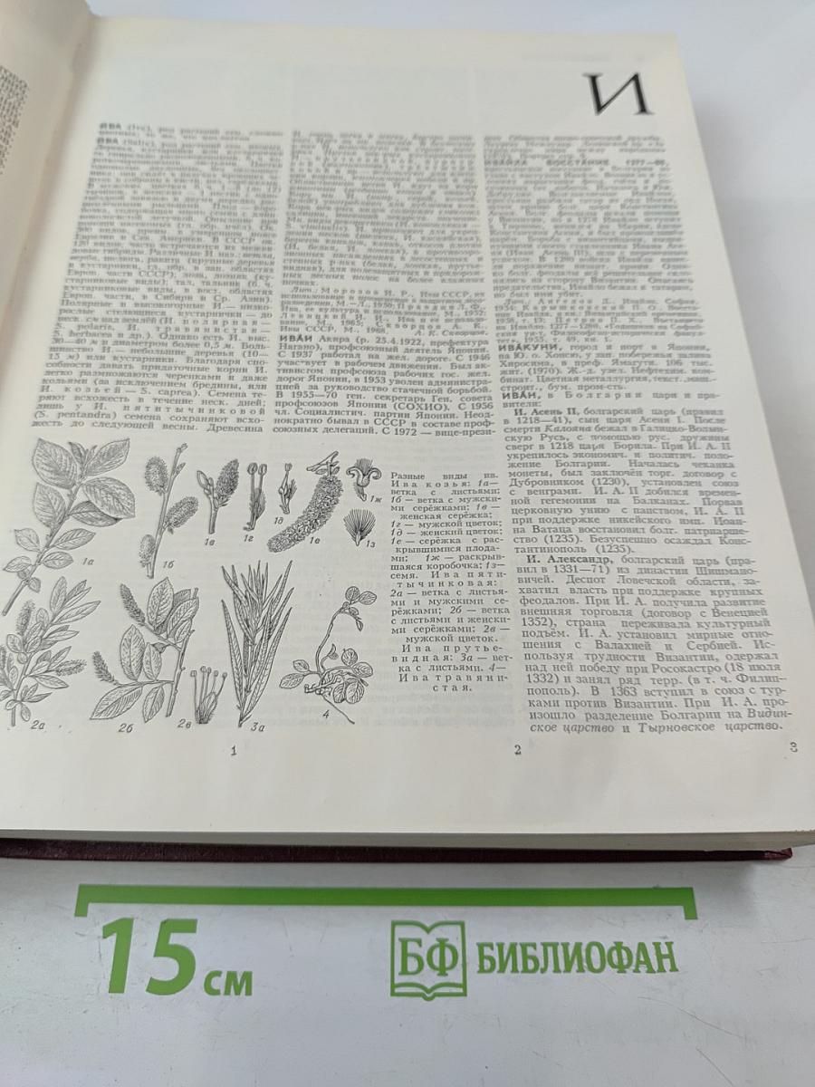Большая Советская Энциклопедия. Том 10: Ива - Италки