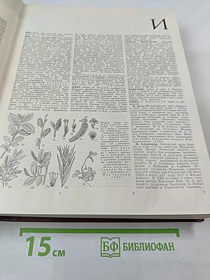Большая Советская Энциклопедия. Том 10: Ива - Италки