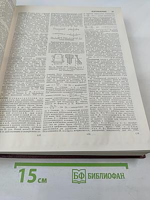 Большая Советская Энциклопедия. Том 10: Ива - Италки