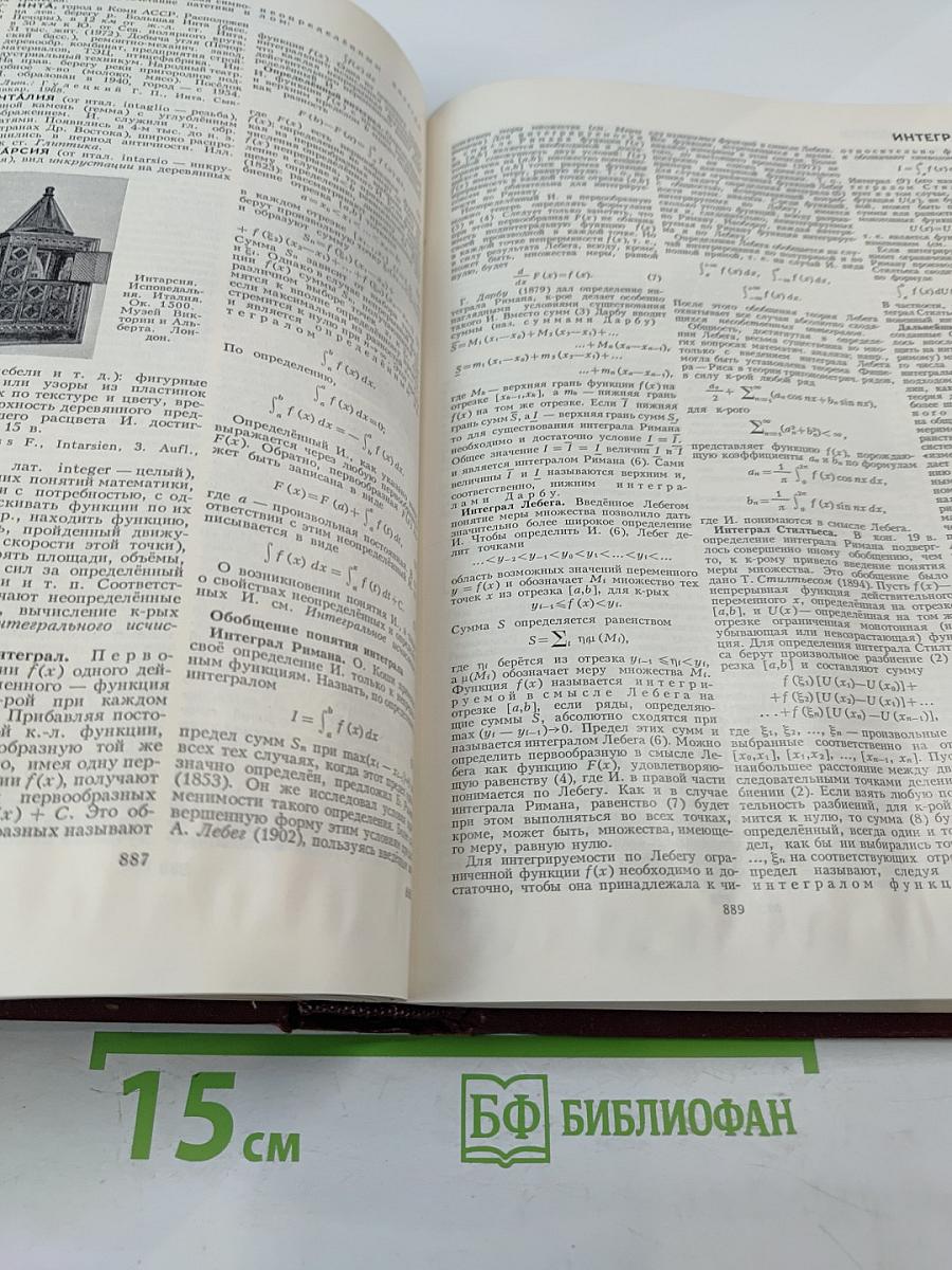 Большая Советская Энциклопедия. Том 10: Ива - Италки