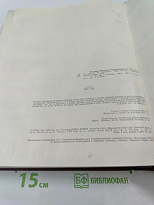 Большая Советская Энциклопедия. Том 10: Ива - Италки