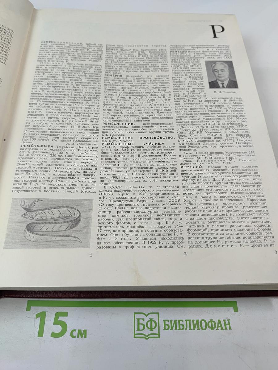 Большая Советская Энциклопедия. Том 22: Ремень – Сафи