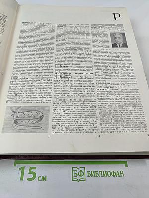 Большая Советская Энциклопедия. Том 22: Ремень – Сафи