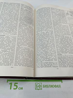 Большая Советская Энциклопедия. Том 22: Ремень – Сафи