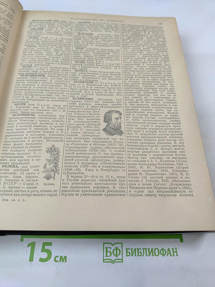 Энциклопедический словарь. Том 1 А-И
