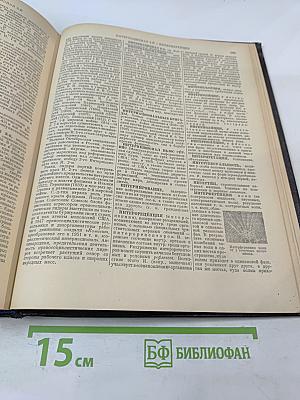 Энциклопедический словарь. Том 1 А-И