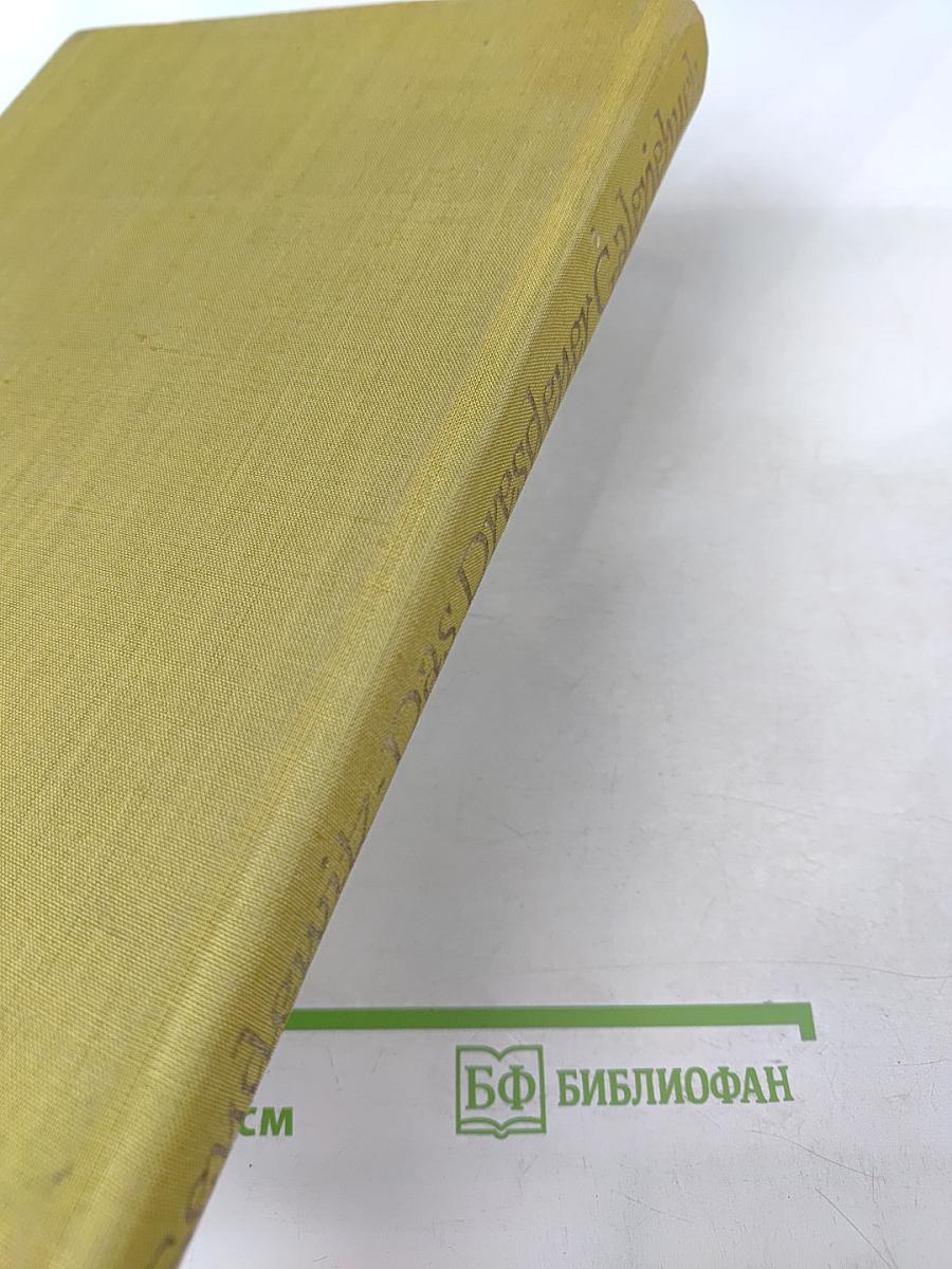 Das Dresdener Galeriebuch