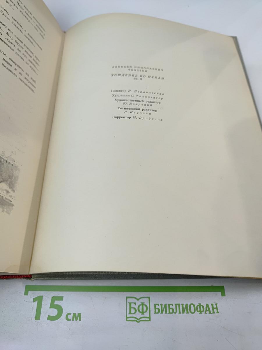 Хождение по мукам. Книга третья. Хмурое утро