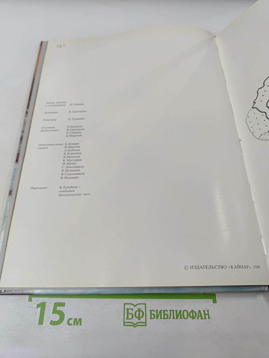 В Краю Семи Рек